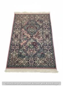 Collection-of-Assorted-Accent-and-Area-Rugs-sixth-image