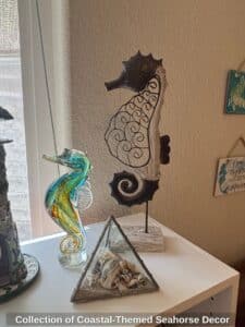Collection-of-Coastal-Themed-Seahorse-Decor-fourth-image