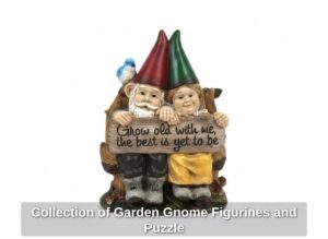 Collection-of-Garden-Gnome-Figurines-and-Puzzle-sixth-image