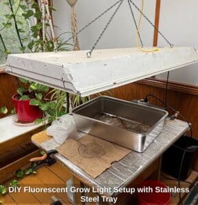 DIY-Fluorescent-Grow-Light-Setup-with-Stainless-Steel-Tray