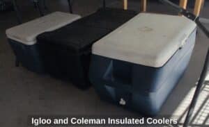 Igloo-and-Coleman-Insulated-Coolers