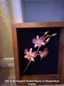 K-Gold-Dipped-Orchid-Spray-in-Shadowbox-Frame