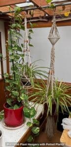 Macram-Plant-Hangers-with-Potted-Plants