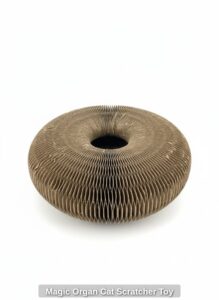 Magic-Organ-Cat-Scratcher-Toy