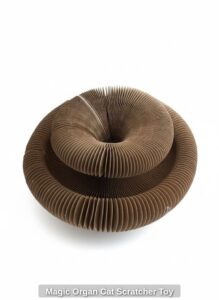 Magic-Organ-Cat-Scratcher-Toy-second-image