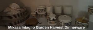 Mikasa-Intaglio-Garden-Harvest-Dinnerware