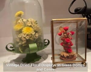 Vintage-Dried-Floral-Displays-in-Glass-Domes-and-Cases