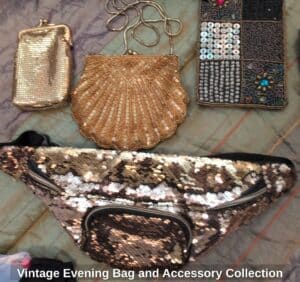 Vintage-Evening-Bag-and-Accessory-Collection