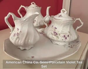 American-China-Co.-Semi-Porcelain-Violet-Tea-Set