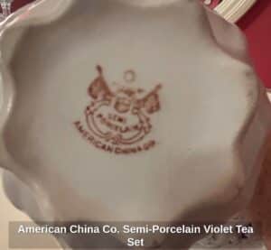 American-China-Co.-Semi-Porcelain-Violet-Tea-Set-fourth-image