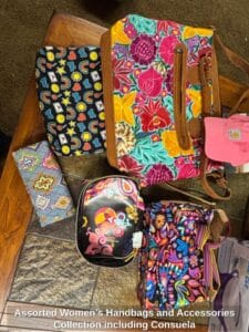 Assorted-Womens-Handbags-and-Accessories-Collection-including-Consuela
