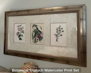 Botanical-Triptych-Watercolor-Print-Set