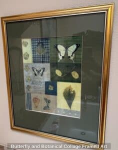 Butterfly-and-Botanical-Collage-Framed-Art