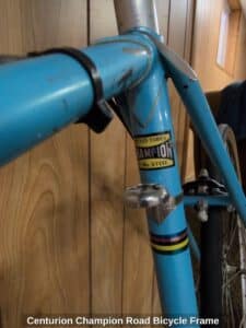 Centurion-Champion-Road-Bicycle-Frame-third-image