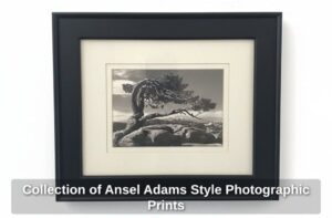 Collection-of-Ansel-Adams-Style-Photographic-Prints-second-image
