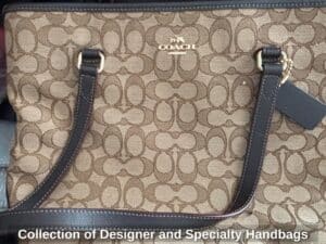 Collection-of-Designer-and-Specialty-Handbags