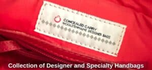 Collection-of-Designer-and-Specialty-Handbags-fourth-image