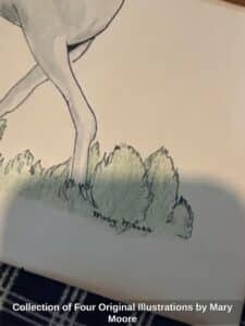 Collection-of-Four-Original-Illustrations-by-Mary-Moore-fourth-image