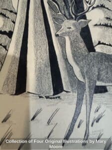 Collection-of-Four-Original-Illustrations-by-Mary-Moore-third-image