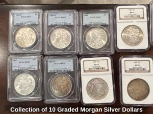 Collection-of-Graded-Morgan-Silver-Dollars