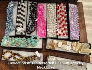 Collection-of-Ten-Assorted-Fashion-Jewelry-Necklaces