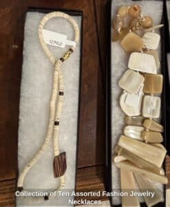 Collection-of-Ten-Assorted-Fashion-Jewelry-Necklaces-second-image