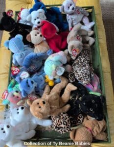 Collection-of-Ty-Beanie-Babies