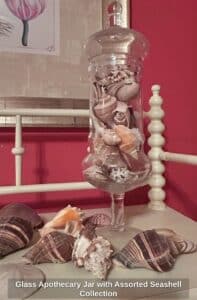 Glass-Apothecary-Jar-with-Assorted-Seashell-Collection