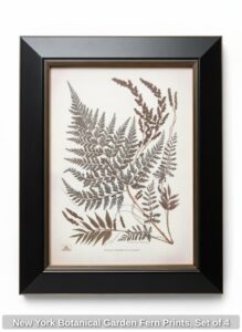 New-York-Botanical-Garden-Fern-Prints-Set-of-third-image