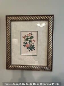Pierre-Joseph-Redout-Rose-Botanical-Prints