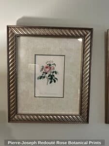 Pierre-Joseph-Redout-Rose-Botanical-Prints-second-image