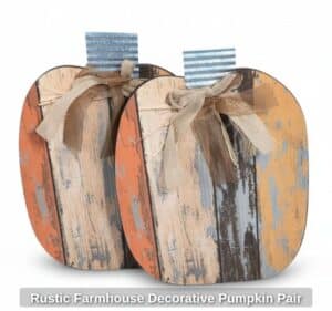 Rustic-Farmhouse-Decorative-Pumpkin-Pair
