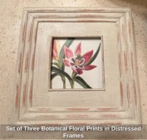 Set-of-Three-Botanical-Floral-Prints-in-Distressed-Frames