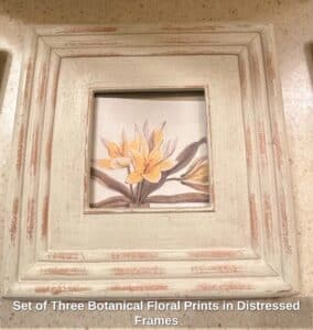 Set-of-Three-Botanical-Floral-Prints-in-Distressed-Frames-second-image