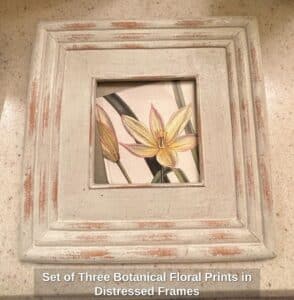 Set-of-Three-Botanical-Floral-Prints-in-Distressed-Frames-third-image