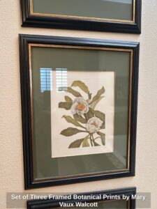 Set-of-Three-Framed-Botanical-Prints-by-Mary-Vaux-Walcott-second-image