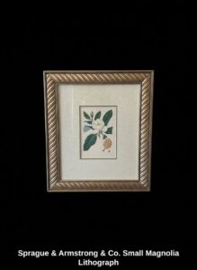 Sprague-Armstrong-Co.-Small-Magnolia-Lithograph