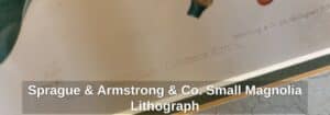 Sprague-Armstrong-Co.-Small-Magnolia-Lithograph-second-image