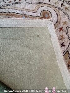 Surya-Aurora-AUR-Ivory-Paisley-Area-Rug-second-image