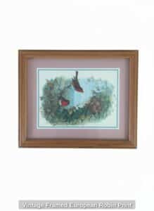 Vintage-Framed-European-Robin-Print