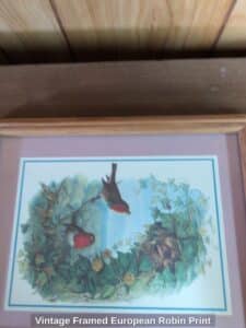 Vintage-Framed-European-Robin-Print-second-image
