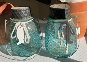 IMG_3194