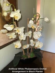Artificial-White-Phalaenopsis-Orchid-Arrangement-in-Black-Planter