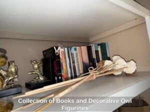 Collection-of-Books-and-Decorative-Owl-Figurines
