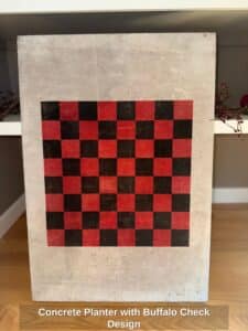 Concrete-Planter-with-Buffalo-Check-Design