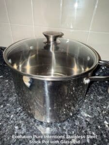 Ecolution-Pure-Intentions-Stainless-Steel-Stock-Pot-with-Glass-Lid