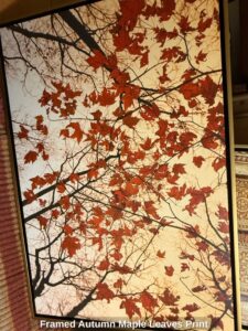 Framed-Autumn-Maple-Leaves-Print