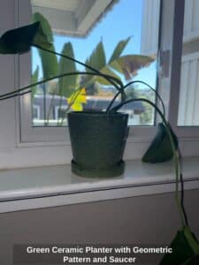 Green-Ceramic-Planter-with-Geometric-Pattern-and-Saucer