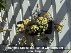 Hanging-Succulent-Planter-with-Wrought-Iron-Hanger