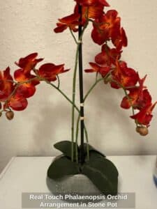 Real-Touch-Phalaenopsis-Orchid-Arrangement-in-Stone-Pot